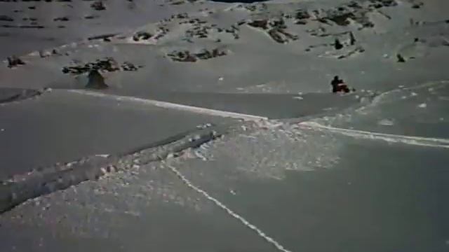 Goat, Snowmobile Hillclimb