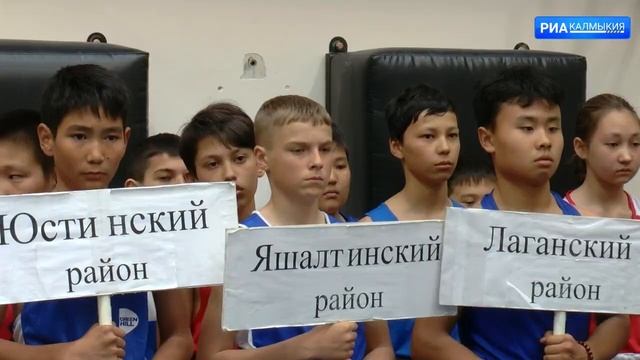Стартовало открытое первенство Элисты по боксу среди юношей и девушек смотреть онлайн