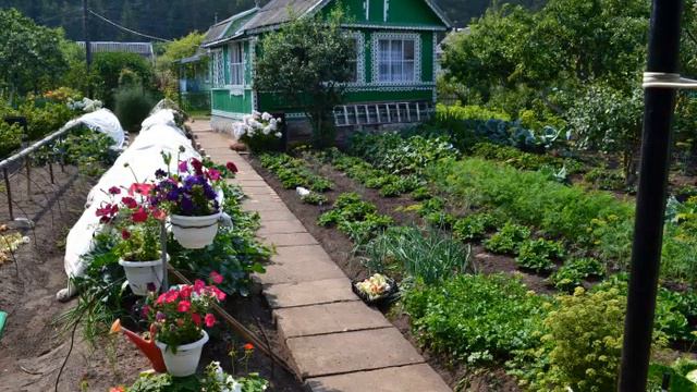 Про дачу смотреть онлайн