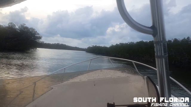 Yellowtail Snapper Vs Grunt | Key Largo Offshore Catch N Cook