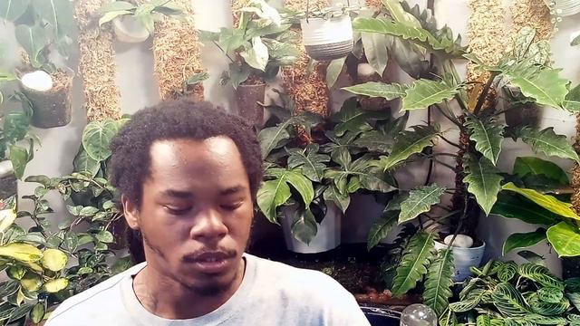 Old Setup Vs New Setup