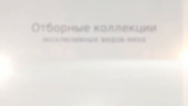 Магазин Voss Элунда, Греция смотреть онлайн