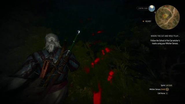 The Witcher 3 The Beast Of Honorton Where The Cat and Wolf Play смотреть онлайн