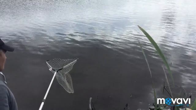 Дебютные белый амур, толстолобик и вкусный рак ?? смотреть онлайн