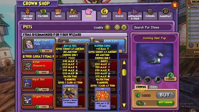Wizard101: The BEST Things to Buy in the Crown Shop! смотреть онлайн