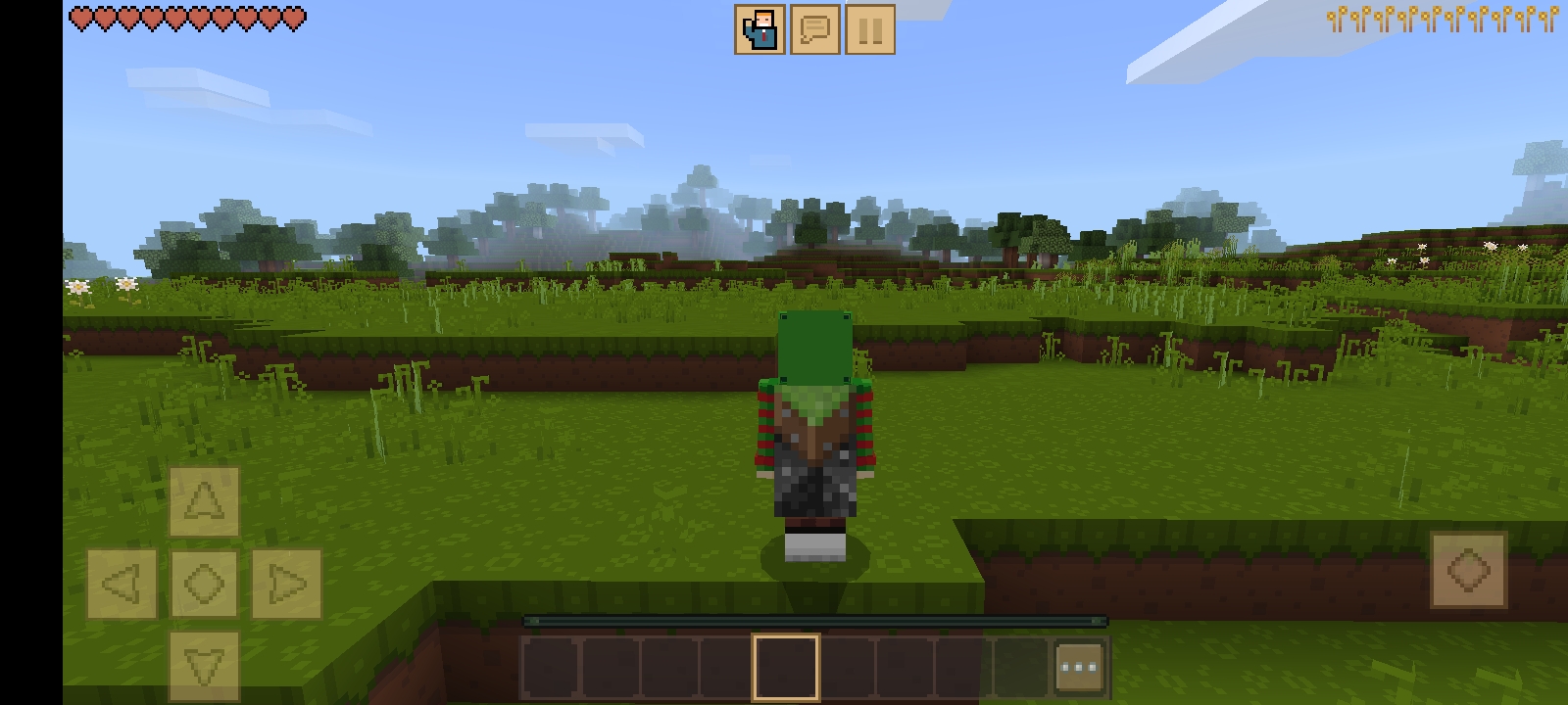 Майнкрафт но прохожу его от первого лица сзади в minecraft| ДимА4 minecraft!