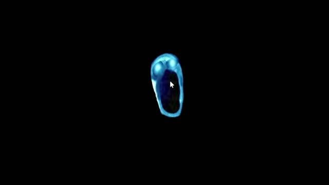 Roblox Doors 2 (Depth Concept) смотреть онлайн