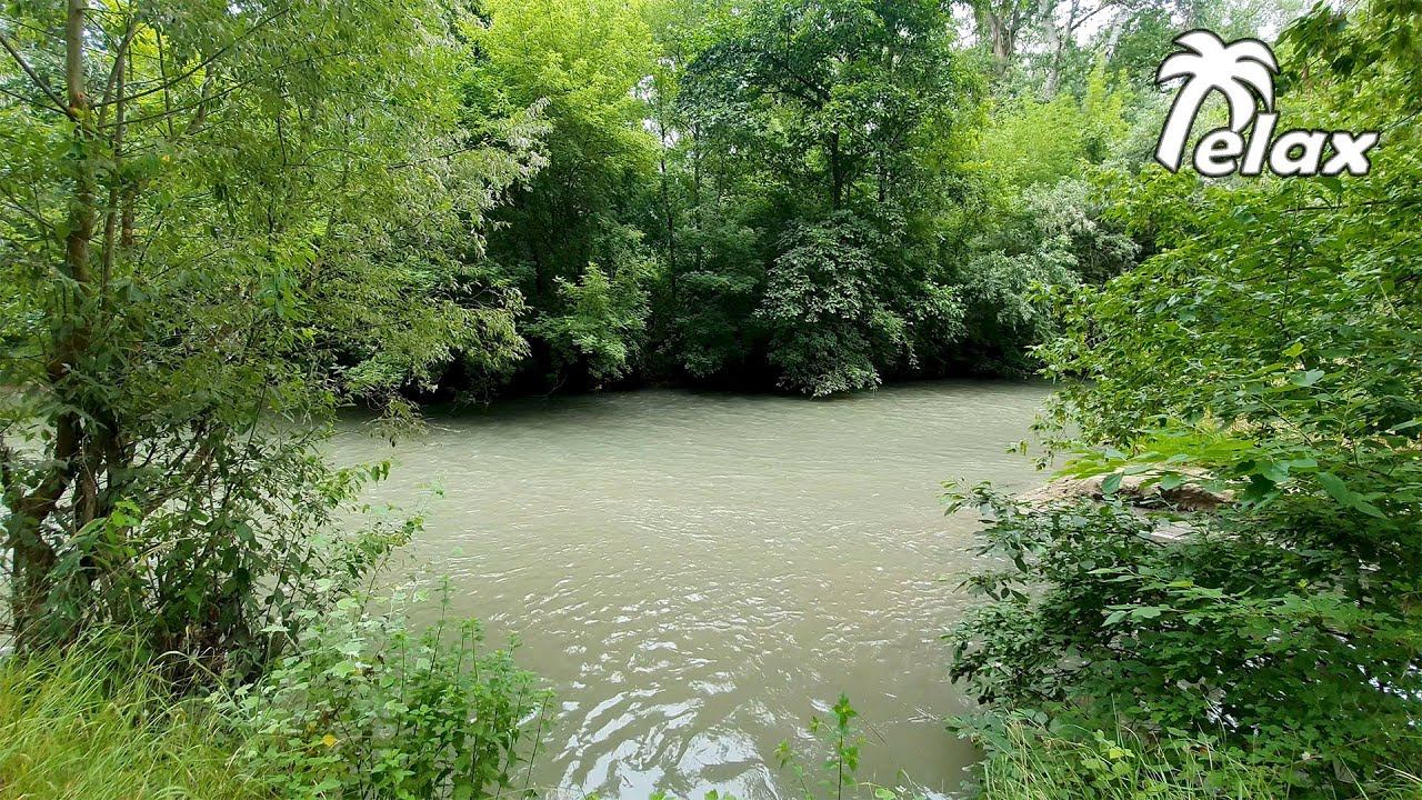 Nature Sounds on the bank of a Forest River - Relaxation, Meditation or Sleep смотреть онлайн