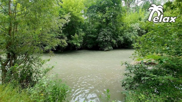 Nature Sounds on the bank of a Forest River - Relaxation, Meditation or Sleep