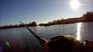 Гроза щук Bassday Mogul minnow  110sp...