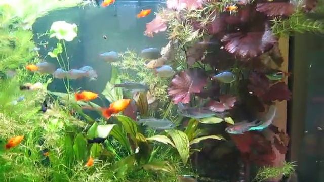 В гостях у Monoceros'a смотреть онлайн