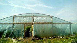 Копия /  Какие  ТЕПЛИЦЫ  строят Китайские дачники