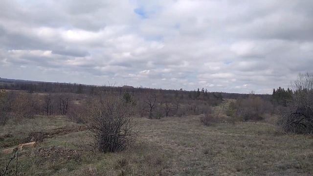 Окружающий мир города Красный Луч l Прогулка по окрестностям посёлка Софиевка смотреть онлайн