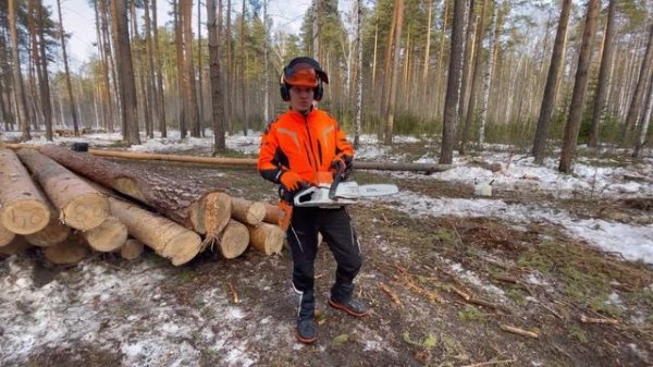 Лучшая бензопила, STIHL MS 261-CM, Test-drive