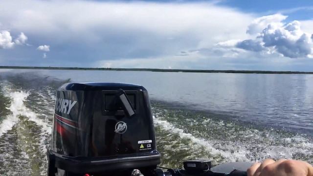 Кайман 330 + Mercury (Меркури) 9.9 light (169cc) смотреть онлайн