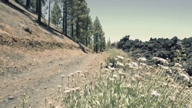 30 minutes relaxation music|stress relief|meditation|peaceful music|sleeping #relaxingmusic