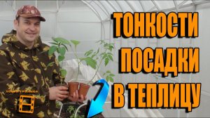 РАННЯЯ ПОСАДКА В ТЕПЛИЦУ ПОМИДОР, ПЕРЦА И БАКЛАЖАНОВ + КУЧА ПОЛЕЗНЫХ СОВЕТОВ. САД (ОГОРОД) И ТЕПЛИЦА