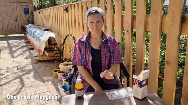 БЕЛОКРЫЛКА ИСЧЕЗНЕТ В ТЕПЛИЦЕ /БЕЛОКРЫЛКА НА КОМНАТНЫХ ЦВЕТАХ МЕТОД БОРЬБЫ @obovsemsmarusya смотреть онлайн