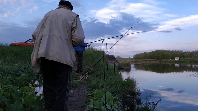 Ловля карася на пруду 4 июня. Хорошая рыбалка. смотреть онлайн