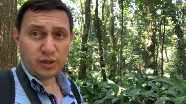 Покажу, как живут богачи и знаменитости Бразилии в Сан-Паулу - городе небоскрёбов, парков и церквей смотреть онлайн