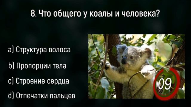 Тест На Эрудицию: Насколько Вы Знающий Человек? | Познавая Мир смотреть онлайн