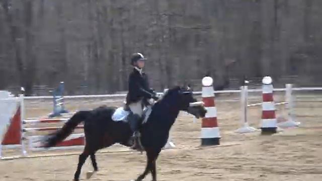 Quizzy and Jassa~~ Marshall and Sterling jumper Classic at Westbrook ... Round One смотреть онлайн