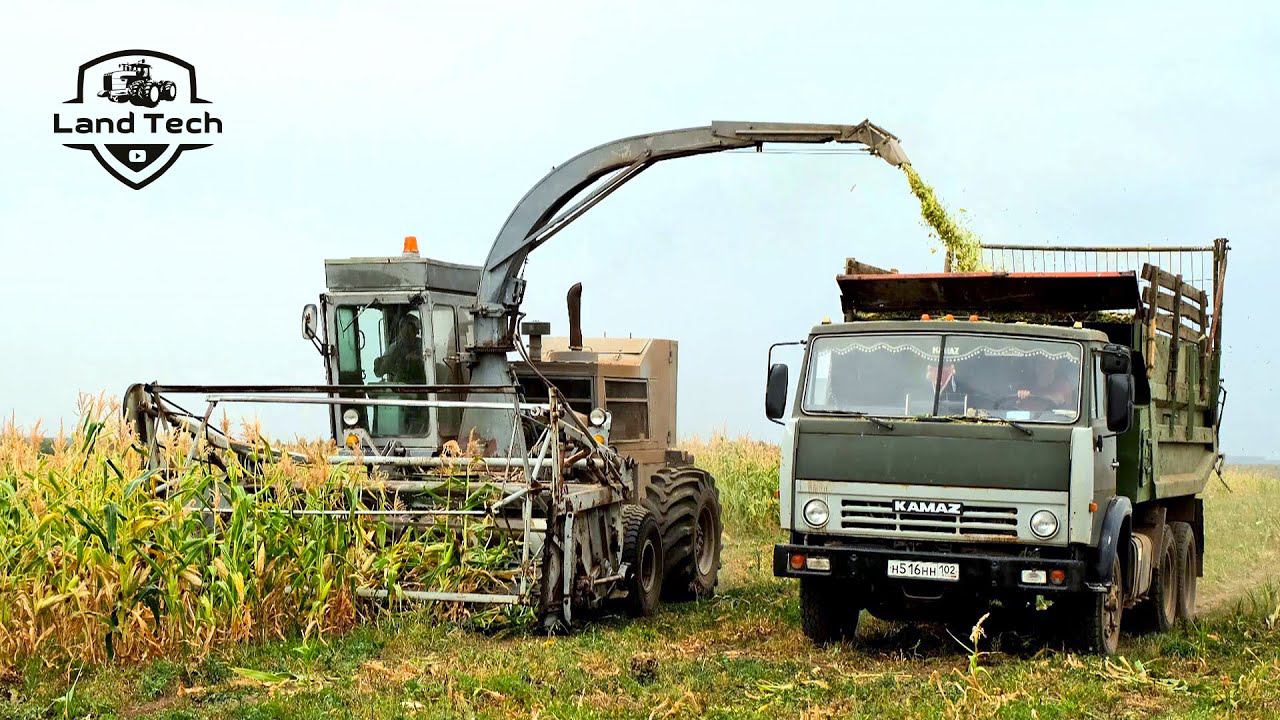 Давно такого не видел - комбайн КСК-100 убирает кукурузу на силос! смотреть онлайн