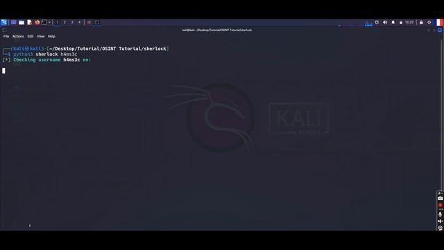 FIND ANY SOCIAL MEDIA ACCOUNT ( IN 2 MIN ) смотреть онлайн