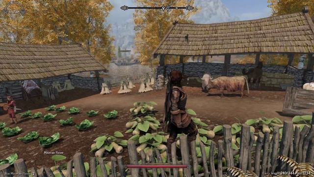 The Elder Scrolls V Skyrim - TPF Zediious Sprinkles - Gameplay Video 04 смотреть онлайн