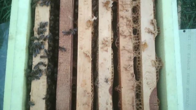 Чуть не угробил семьи, не повторите эту ошибку!!!!