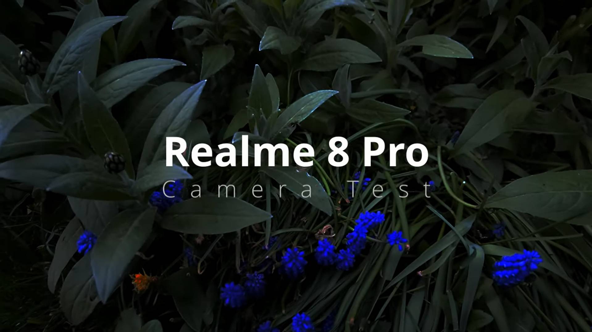 Realme 8 Pro - Тест видеокамеры (UHD 4K 3840x2160 30fps)