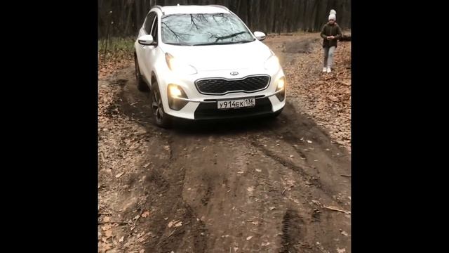 Kia Sportage 2021 2.0 АТ AWD смотреть онлайн