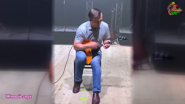 Валерий Сумишевский. "Воронежская лирическая" БАЛАЛАЙКА. смотреть онлайн