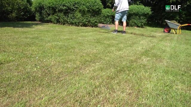 How to overseed your lawn with Turfline смотреть онлайн