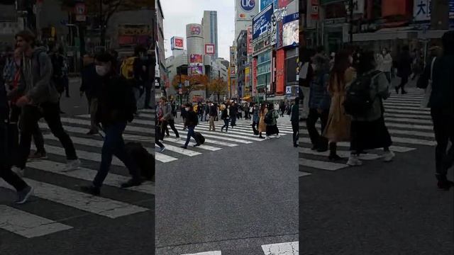 Переход перекрёстка на Сибуе смотреть онлайн