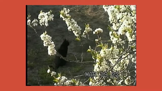 The best Super VHS-C camcorder - JVC GR-SZ7 смотреть онлайн