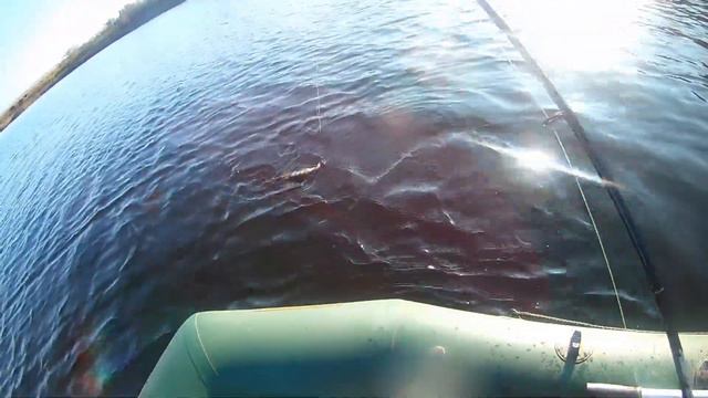 Щука в октябре 2017 № 2. смотреть онлайн