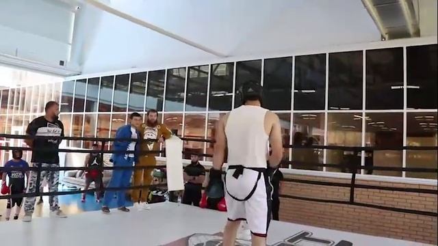 Бешто Шавлаев и Сергей Воробьев, спарринг. смотреть онлайн