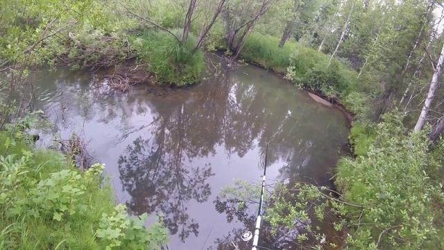 Хариус на поплавок смотреть онлайн