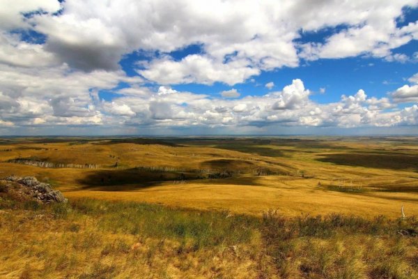 лесостепи и степи