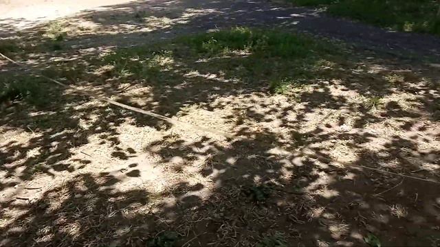 Лайфхак как сделать для воды шар в домашних условиях смотреть онлайн