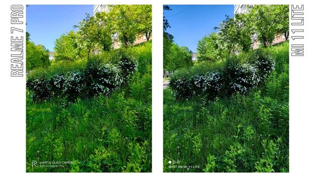 Xiaomi Mi 11 Lite vs Realme 7 Pro - Обзор и сравнение смотреть онлайн