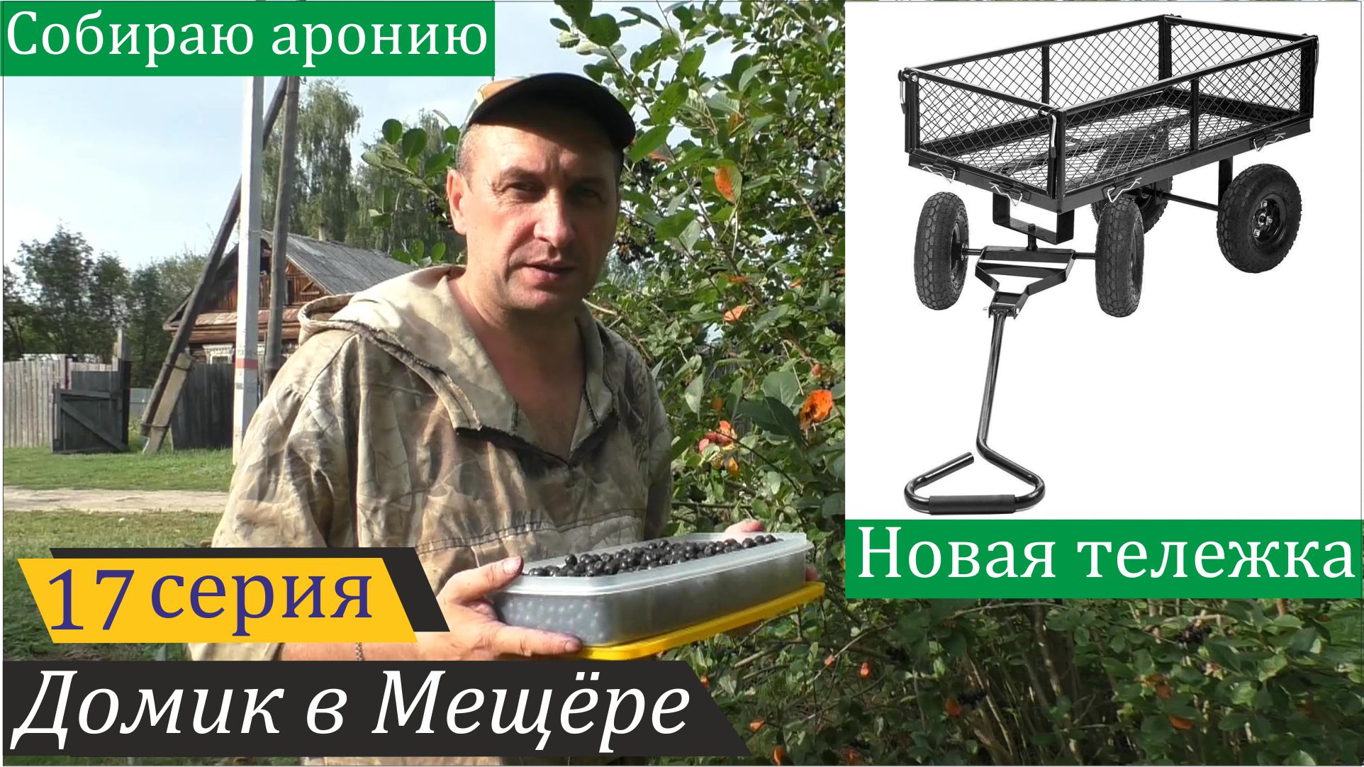 Продолжаю ремонт дровяника, собираю ягоды аронии, пересаживаю деревья. Домик в Мещёре, серия 17 смотреть онлайн