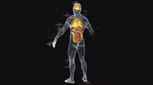 ЧТО ПРОИЗОЙДЁТ С ОРГАНИЗМОМ, ЕСЛИ БРОСИТЬ КУРИТЬ