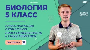Среда обитания организмов. Приспособленность к среде обитания. Видеоурок 5. Биология 5 класс