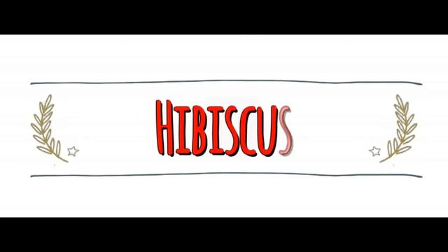 American vs Australian Accent: How to Pronounce HIBISCUS in an Australian or American Accent смотреть онлайн