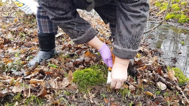 Открытие сезона 2020г 28 января смотреть онлайн