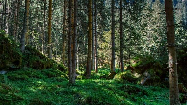 Звуки флейты североамериканских индейцев | (1 Час) смотреть онлайн