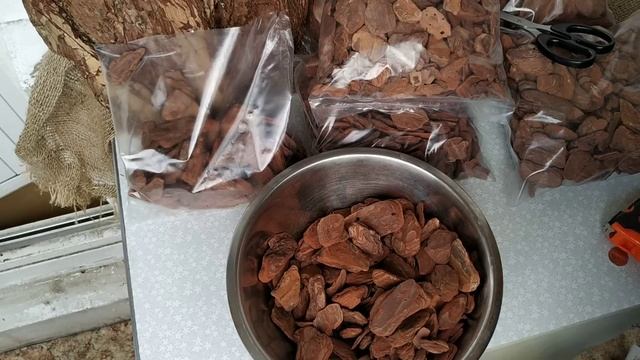 Шикарные кора и мох на продажу ( орхидеи ) смотреть онлайн