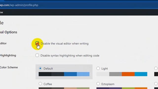 Visual Editor not Working in WordPress смотреть онлайн